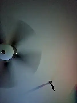 22sexytwin online show from 10, 4, 2026