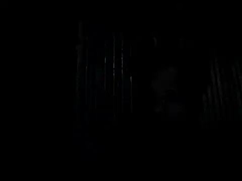 chittagong77 online show from 13, 10, 2025