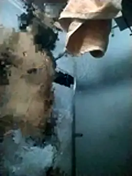 Pziko online show from 7, 1, 2026