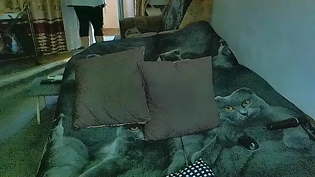 sex2 online show from 17, 11, 2025