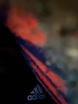 Pitercom online show from 12, 2, 2026