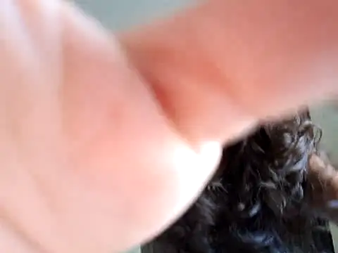 Snapshot of Abysparadise chatting on 11, 11, 2025 Abysparadise online show from 11, 11, 2025