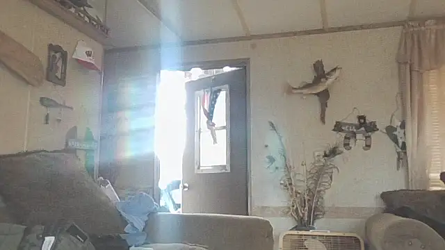 Snapshot of Yankeedave420 chatting on 19, 11, 2025 Yankeedave420 online show from 19, 11, 2025