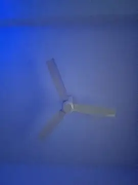 monabhabi22 online show from 24, 2, 2025