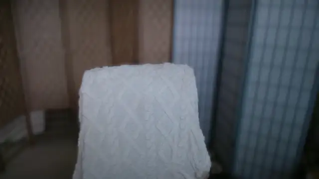 petradaniels online show from 13, 2, 2026