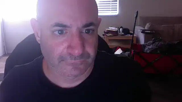 Snapshot of palidin1 chatting on 24, 11, 2025 palidin1 online show from 24, 11, 2025