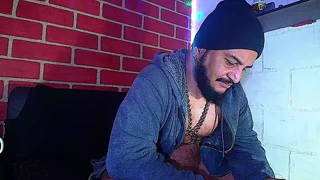 the master foal  online show from 11, 1, 2025