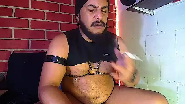 the master foal  online show from 12, 1, 2025