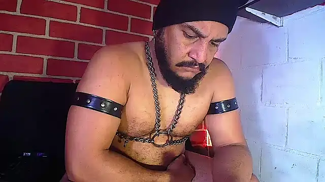 the master foal  online show from 14, 1, 2025