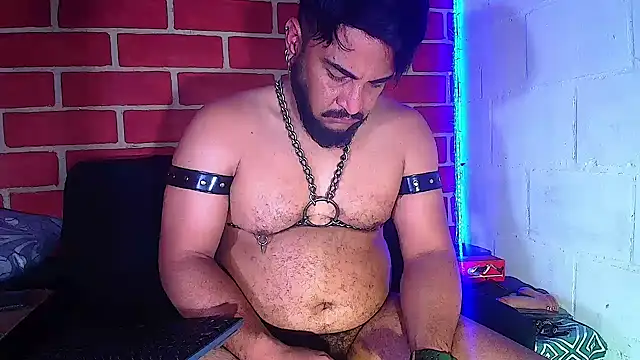 the master foal  online show from 28, 1, 2025