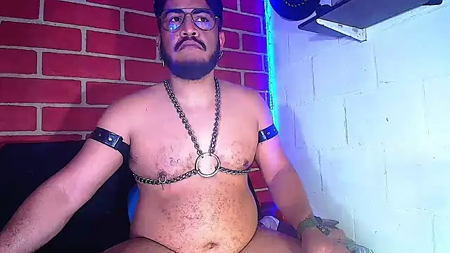 the master foal  online show from 28, 1, 2025