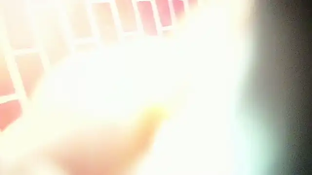 the master foal  online show from 6, 3, 2025