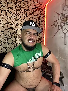 Snapshot of the_master_foal_ chatting on 27, 2, 2026 the master foal online show from 27, 2, 2026