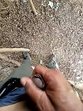 Snapshot of breejs chatting on 23, 10, 2025 breejs online show from 23, 10, 2025