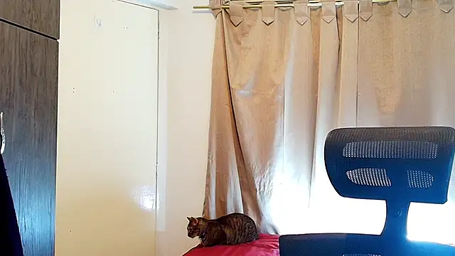 Snapshot of jimmy_class chatting on 5, 12, 2025 jimmy class online show from 5, 12, 2025