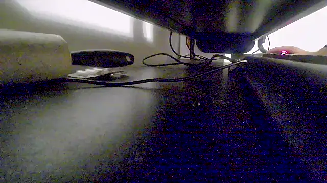 z3phs1337M online show from 9, 12, 2024