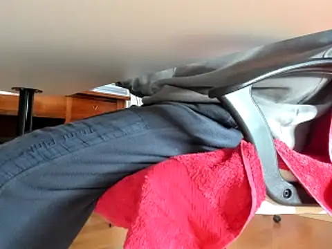 leccaleccafiga online show from 13, 2, 2025