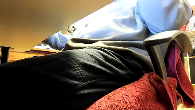 leccaleccafiga online show from 4, 3, 2025