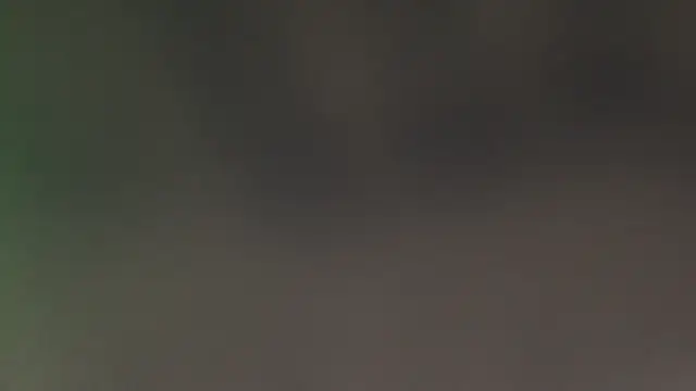 leccaleccafiga online show from 24, 4, 2026