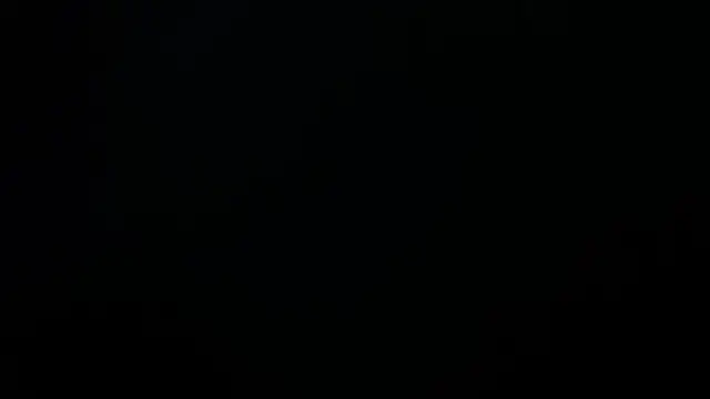 cataanderson  online show from 5, 4, 2026