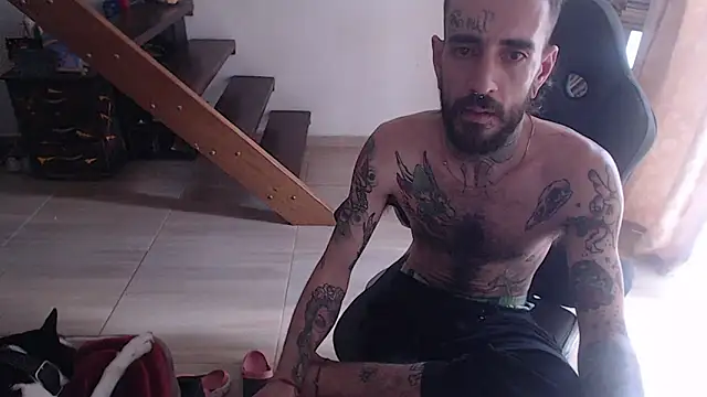 Snapshot of harry_reems1 chatting on 17, 1, 2025 harry reems1 online show from 17, 1, 2025