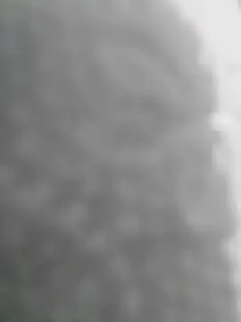 Snapshot of Sexilvenia chatting on 15, 5, 2026 Sexilvenia online show from 15, 5, 2026