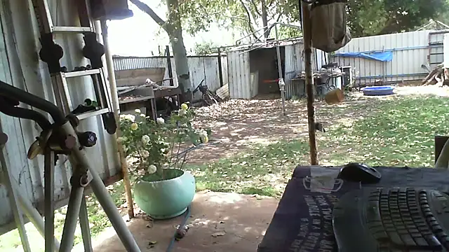 Snapshot of herbie010666 chatting on 12, 10, 2025 herbie010666 online show from 12, 10, 2025
