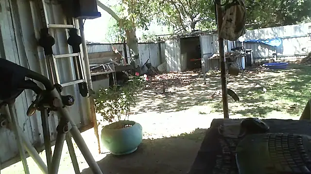 Snapshot of herbie010666 chatting on 6, 11, 2025 herbie010666 online show from 6, 11, 2025