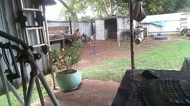 Snapshot of herbie010666 chatting on 27, 11, 2025 herbie010666 online show from 27, 11, 2025