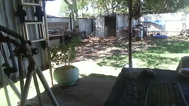 Snapshot of herbie010666 chatting on 2, 12, 2025 herbie010666 online show from 2, 12, 2025