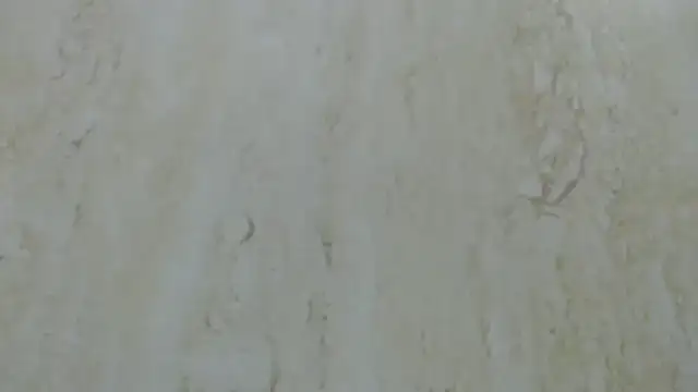 Snapshot of Crazy_team_ chatting on 20, 12, 2024 Crazy team online show from 20, 12, 2024