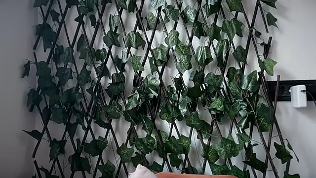 karo123421 online show from 10, 2, 2026