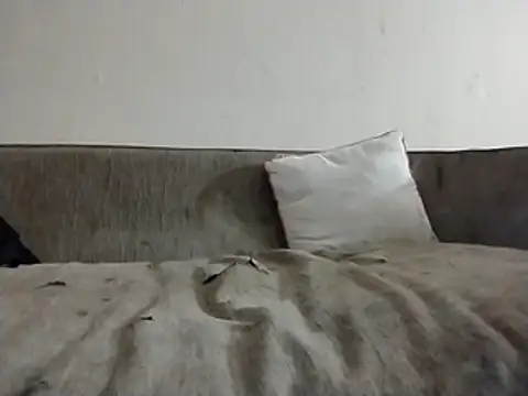 247Srokin online show from 28, 3, 2026