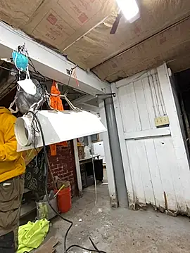 charactrzero online show from 23, 12, 2024