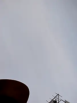 Daddy hook online show from 11, 12, 2024