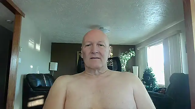 BasicAnt online show from 16, 12, 2025