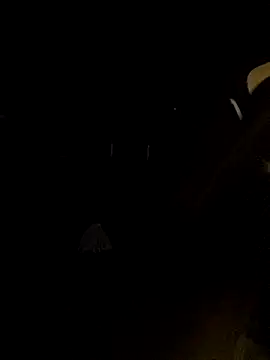 utoopia777 online show from 19, 12, 2025