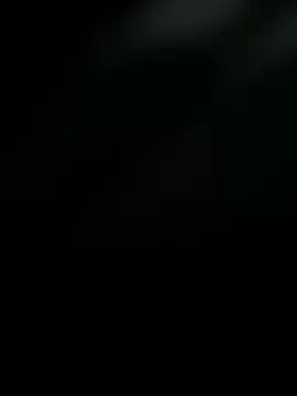 dustbor online show from 11, 3, 2025