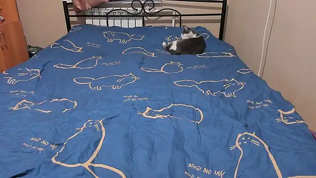 eva zero online show from 17, 12, 2025