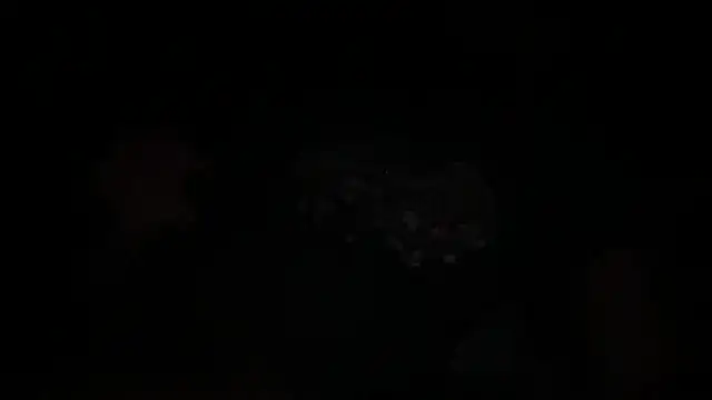 waveonce- online show from 14, 12, 2025