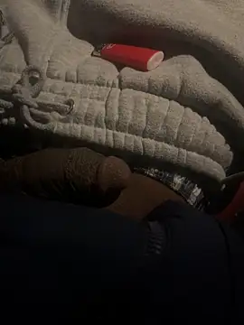 dingoding online show from 22, 2, 2025