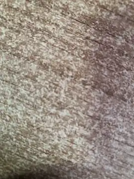 Snapshot of gokhanbey34 chatting on 8, 10, 2025 gokhanbey34 online show from 8, 10, 2025