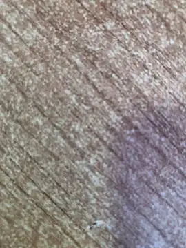 Snapshot of gokhanbey34 chatting on 26, 10, 2025 gokhanbey34 online show from 26, 10, 2025