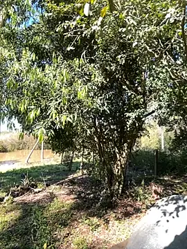 Snapshot of AliceStone19 chatting on 10, 9, 2025 AliceStone19 online show from 10, 9, 2025