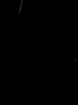 Snapshot of casalmandrake20 chatting on 21, 12, 2025 casalmandrake20 online show from 21, 12, 2025