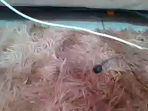 Snapshot of sexyjanett chatting on 11, 3, 2025 sexyjanett online show from 11, 3, 2025