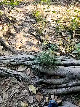 Rinku5553 online show from 2, 2, 2025