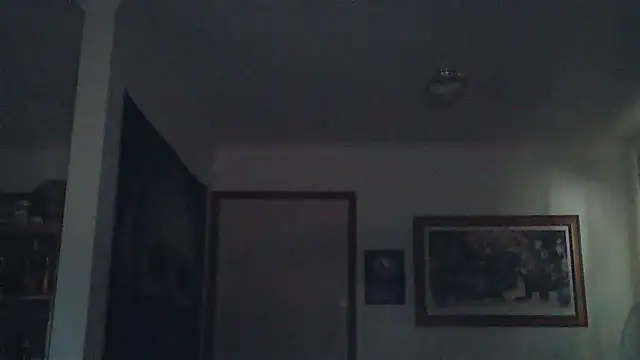 Snapshot of HOTANAL chatting on 11, 3, 2025 HOTANAL online show from 11, 3, 2025