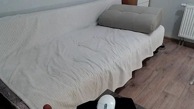 increible della online show from 13, 12, 2024