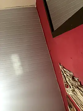 pimenta gaby online show from 15, 11, 2025